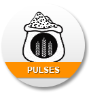 Pulses